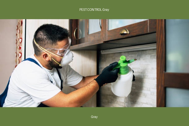 PEST CONTROL Gray